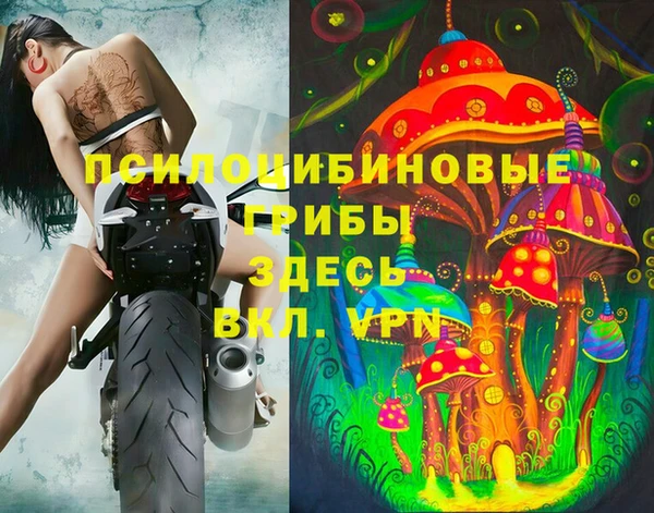 соль ск Балахна