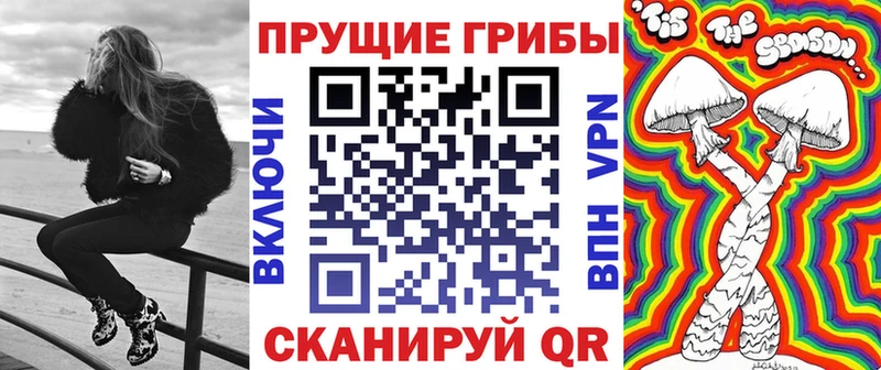 купить  сайты  Сафоново  Галлюциногенные грибы GOLDEN TEACHER 